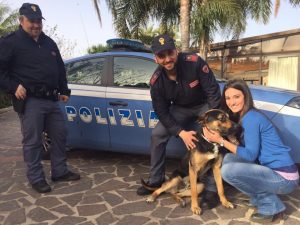 Palermo, picchiato e morso dal suo ex padrone: cucciolo salvato dalla polizia Palermo, picchiato e morso dal suo ex padrone: cucciolo salvato dalla polizia