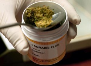 A Palermo ci si può curare con la cannabis A Palermo ci si può curare con la cannabis