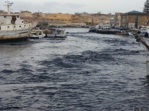 Il Marrobbio flagella Lampedusa: affondate barche e pescherecchi Il Marrobbio flagella Lampedusa: affondate barche e pescherecchi