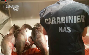 Catania, sequestrati 2.200 kg di tonno: denunciati 5 titolari di aziende ittiche Catania, sequestrati 2.200 kg di tonno: denunciati 5 titolari di aziende ittiche