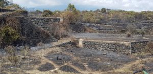Incendi, Legambiente Sicilia: “Manca la vigilanza sul territorio” Incendi, Legambiente Sicilia: “Manca la vigilanza sul territorio”