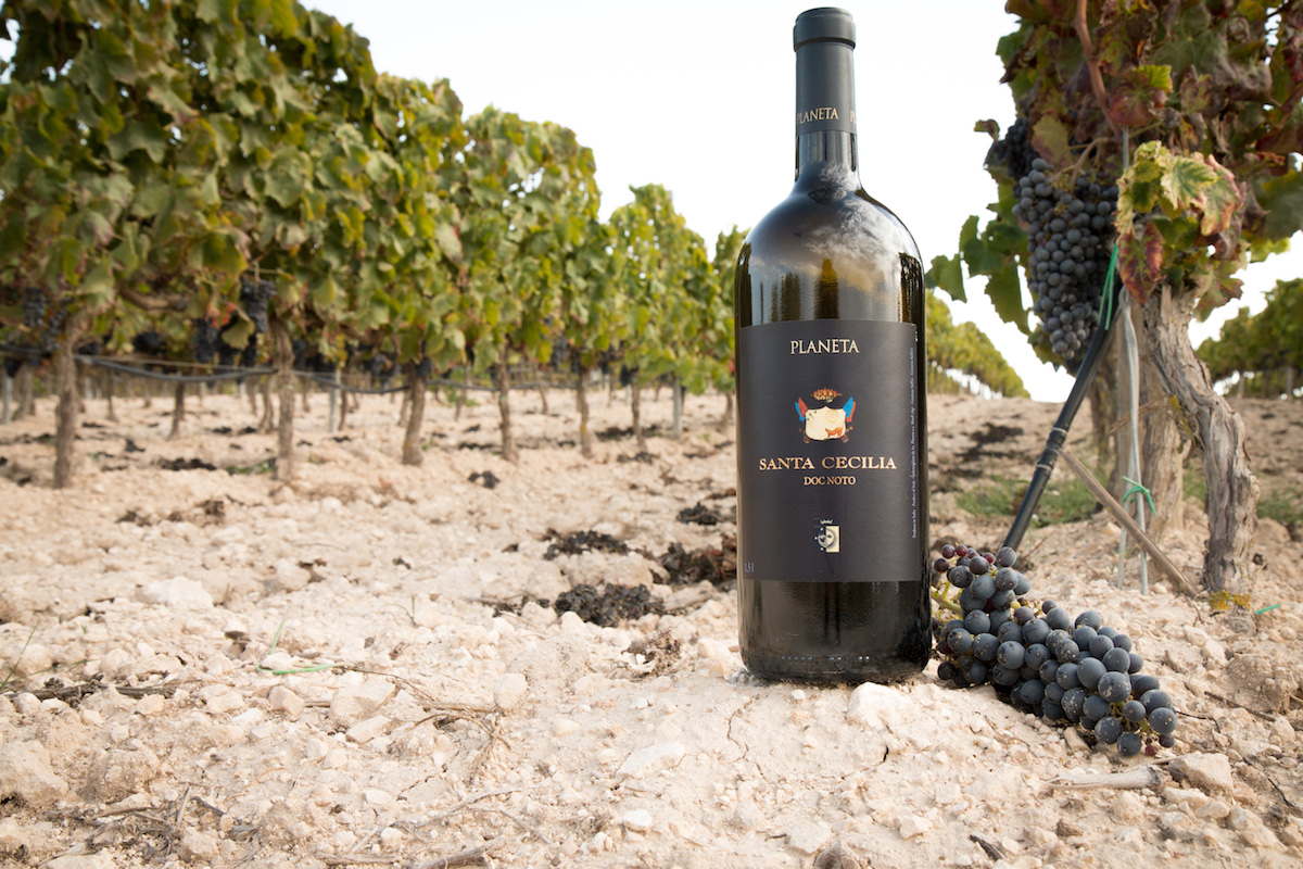 Exploring Nero d’Avola: Parigi e Nairobi concludono il primo tour mondiale