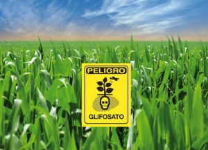 Glifosato in agricoltura, da M5S un tavolo nazionale di coordinamento Glifosato in agricoltura, da M5S un tavolo nazionale di coordinamento