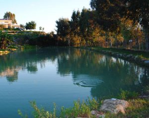 Pesca, Sicilia protagonista al Salone internazionale Acquafarm Pesca, Sicilia protagonista al Salone internazionale Acquafarm