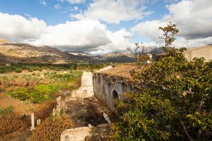 Slow Food: la prima Comunità del cambiamento è in Sicilia, a Partinico Slow Food Comunità Partinico
