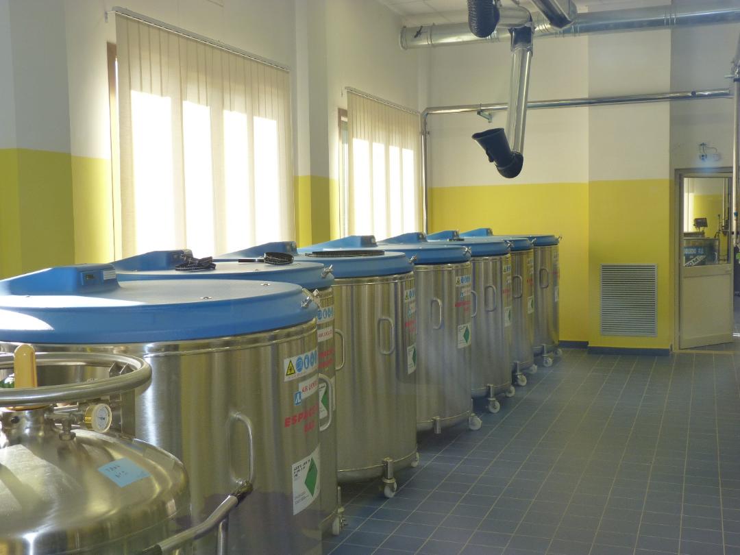 Banca del cordone Sciacca