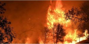 Guerra ai piromani incendi