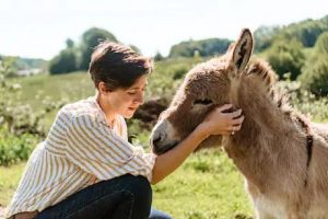 Airbnb Rural Bootcamp, scuola di ospitalità per promuovere turismo rurale airbnb