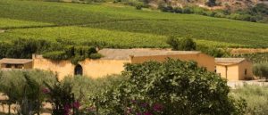 Vino: Planeta scala la classifica di “The Most Admired Wine Brands 2021” Vino: Planeta scala la classifica di “The Most Admired Wine Brands 2021”