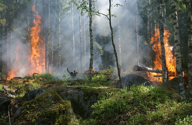 Musumeci in guerra contro incendi