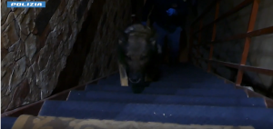 narcotraffico, arresti nel messinese